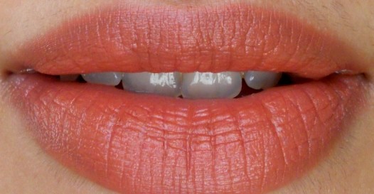 mac taupe lipstick on indian skin