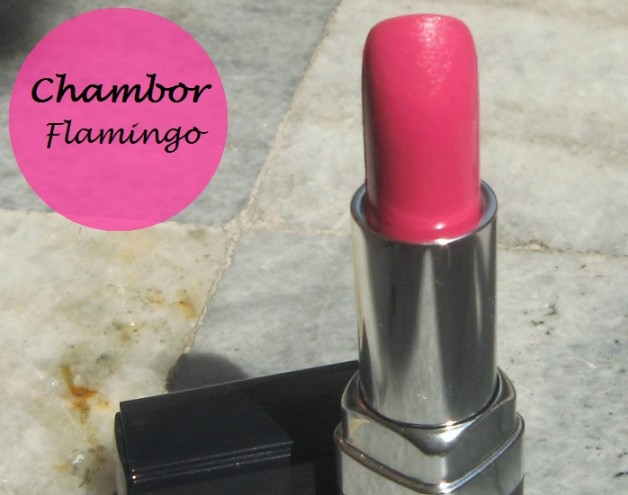 Chambor Powder Matte Lipstick Pink Flamingo: Review and Swatches –  Vanitynoapologies