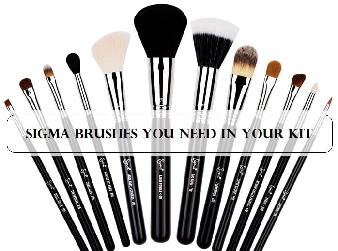 Top 10 Must Have Sigma Brushes For