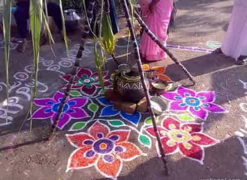 25 Best Pongal Kolam Rangoli Designs