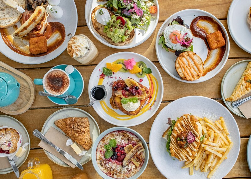 How to find Mother's Day brunch near me?